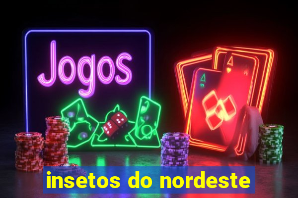 insetos do nordeste